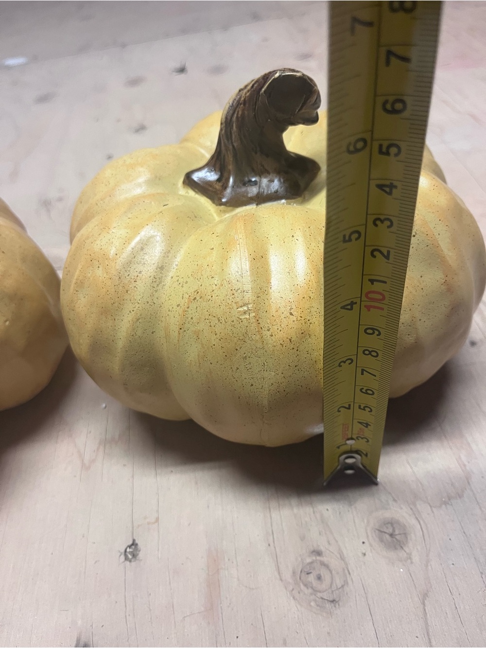 Pumpkins - Picture 3 of 3